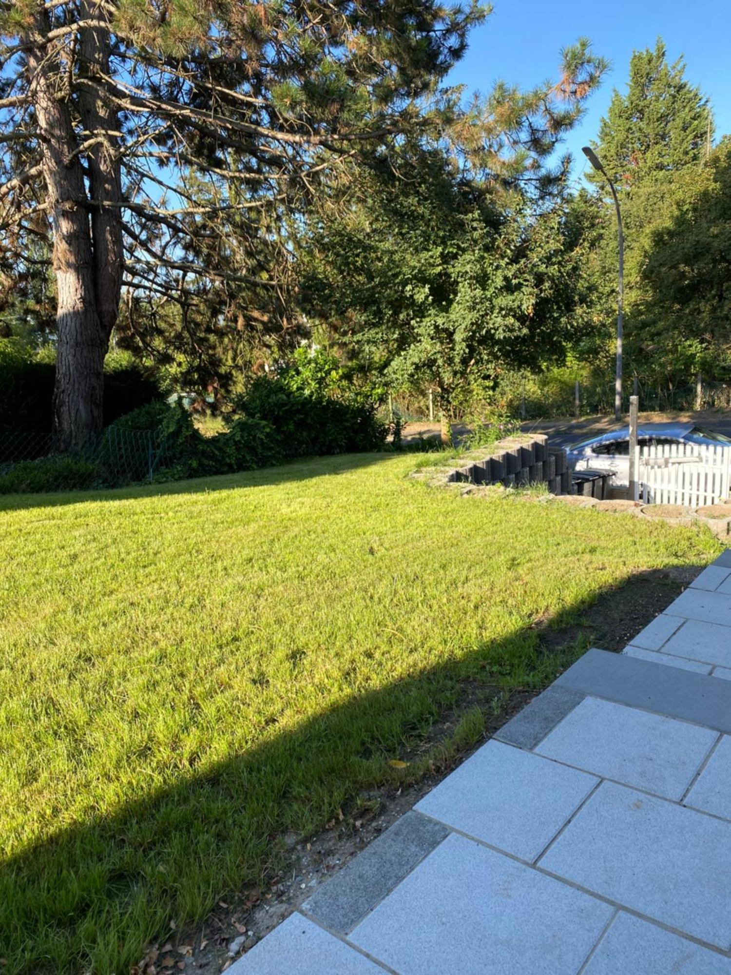 Deluxe Apartment Jl Mit Terrasse ヴィースバーデン エクステリア 写真