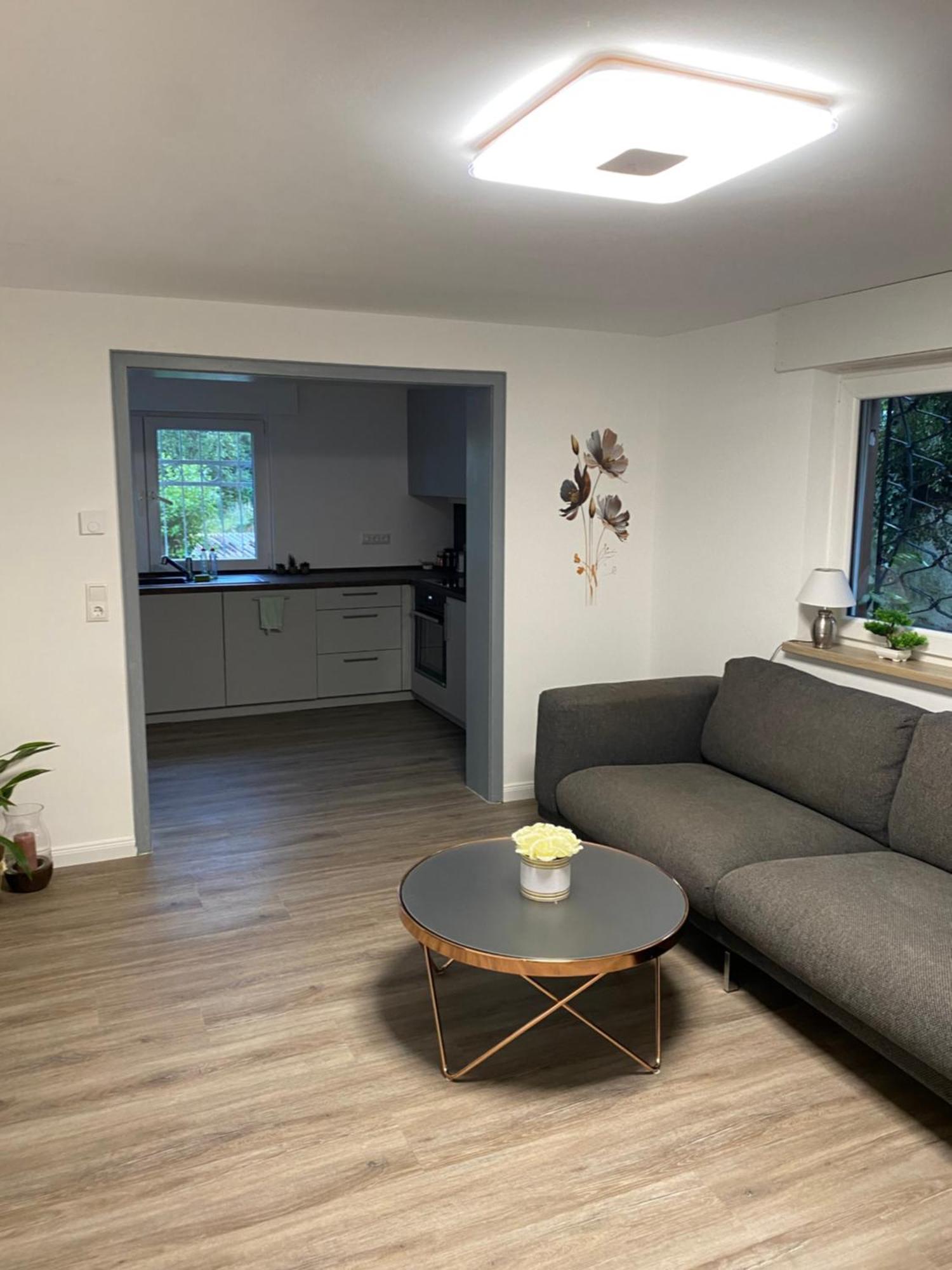 Deluxe Apartment Jl Mit Terrasse ヴィースバーデン エクステリア 写真